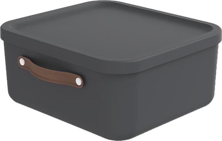 Immagine prodotto Rotho Scatola portaoggetti (20 l)