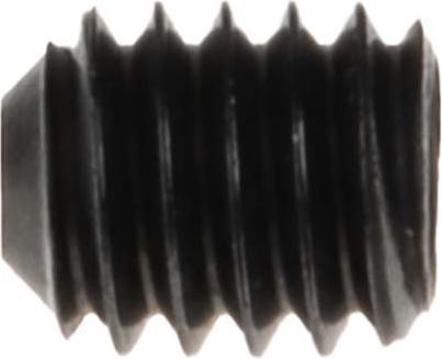 Actual product image Rs Pro Grub screw cup point M2,5x3mm