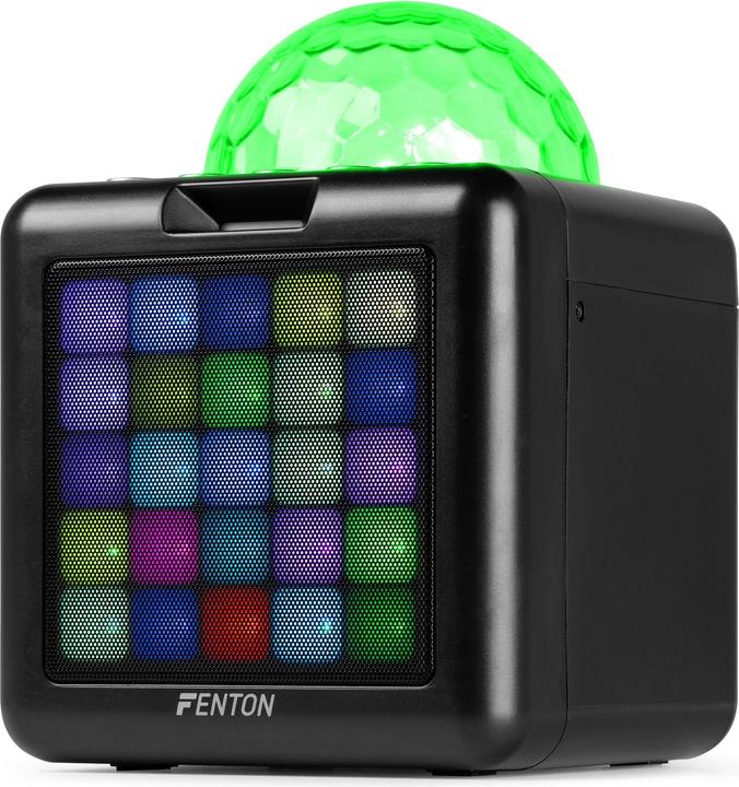 Immagine prodotto Fenton Altoparlante KAR15B con 2 microfoni (1x 15 W)
