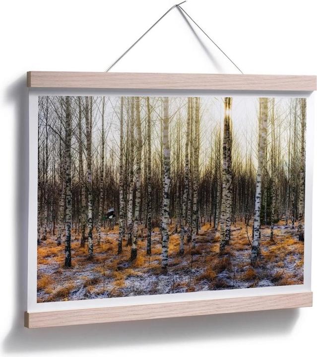 Actual product image Trenddeko Sunshine in birch forest (100 x 80 cm)