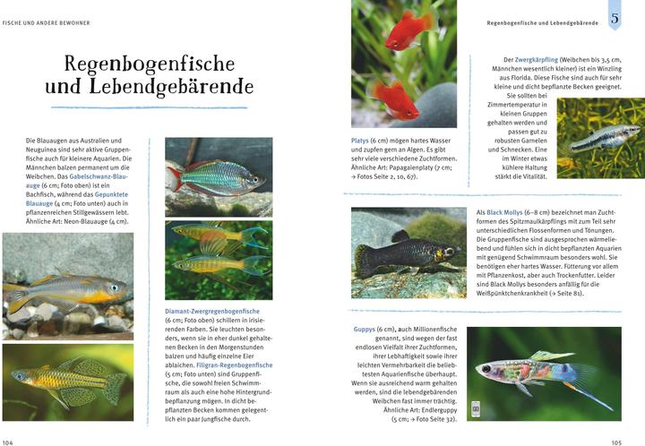 Produktbild Mein Aquarium (Deutsch, Ulrich Schliewen, 2016)
