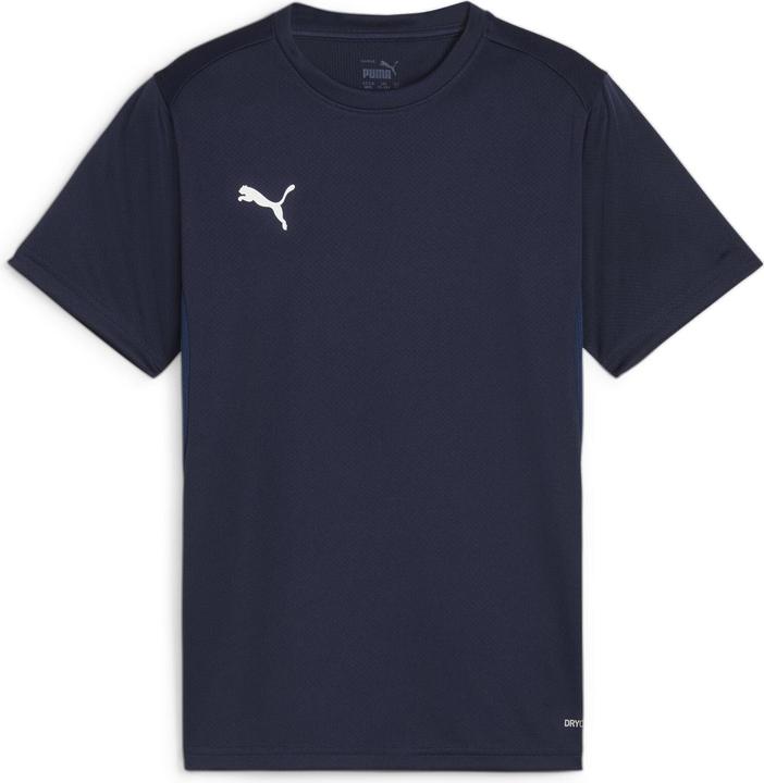 pumanavypumawhitepersianblue