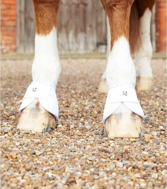 Immagine prodotto Premier Equine Ballistic