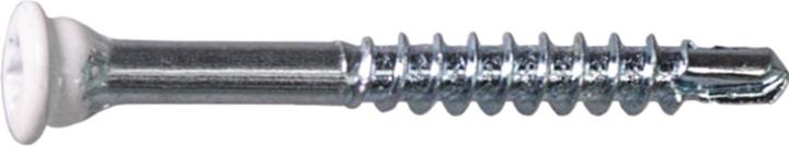Actual product image Profix Skirting screws (500 Screws per piece)
