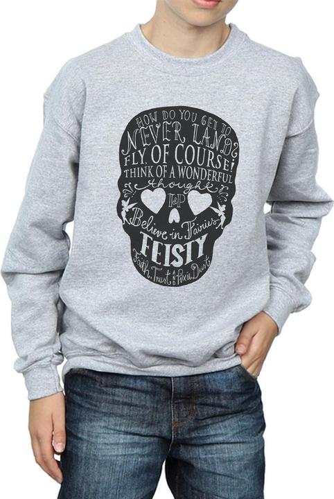 Produktbild Disney Tinker Bell Skull Sweatshirt Jungen (140, 146)