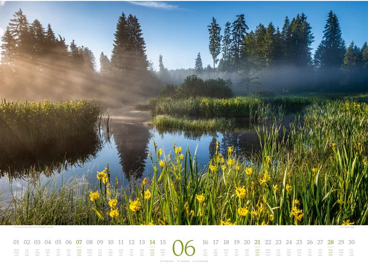 Immagine prodotto Morgenlicht Kalender 2026 (54 x 42 cm, Inglese, Francese, Tedesco)