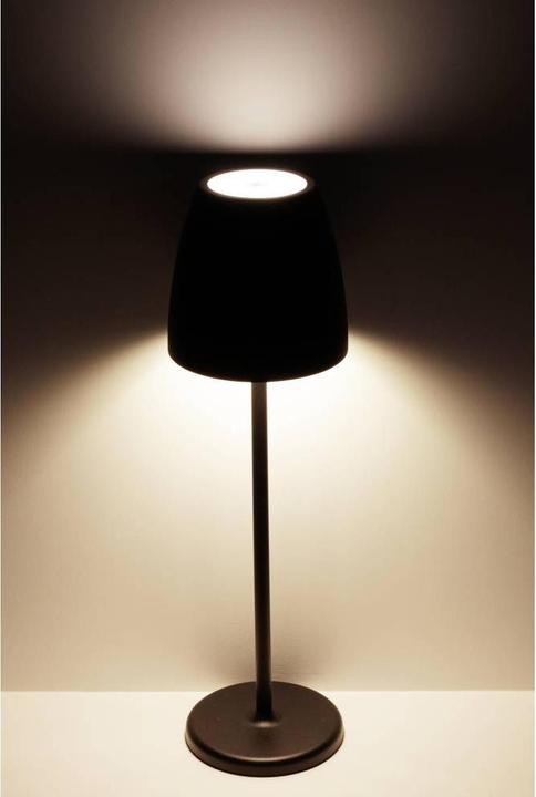Actual product image Megatron Tavola (350 lm)