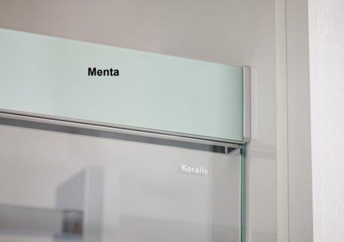 Immagine prodotto Koralle S600Plus Porta scorrevole per doccia ad angolo EDS2 120 L, gamba sinistra, 1200mm (91.30 cm, 208.80 cm, 25.20 cm)