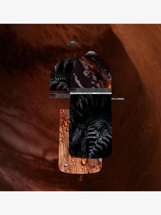 Immagine prodotto Cartier Pasha de Noir Absolu (Eau de parfum, 100 ml)