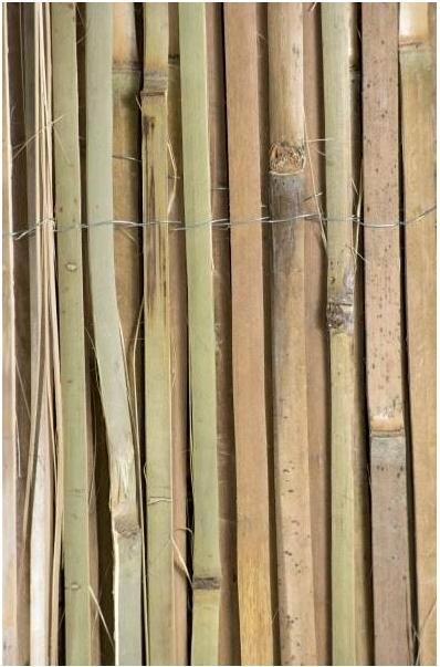 Actual product image Windhager Mitake (300 cm)