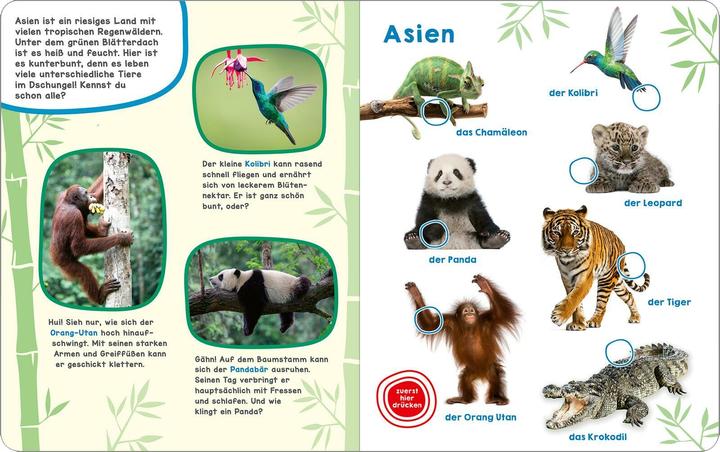 Produktbild Mein grosses Geräuschebuch – Tiere der Welt (Deutsch)
