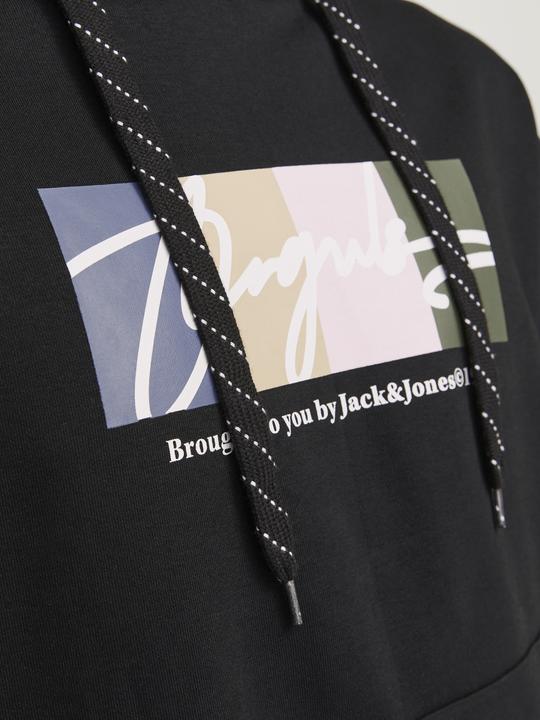 Actual product image Jack & Jones Jorportland Block Sweat Hood Ln (S)