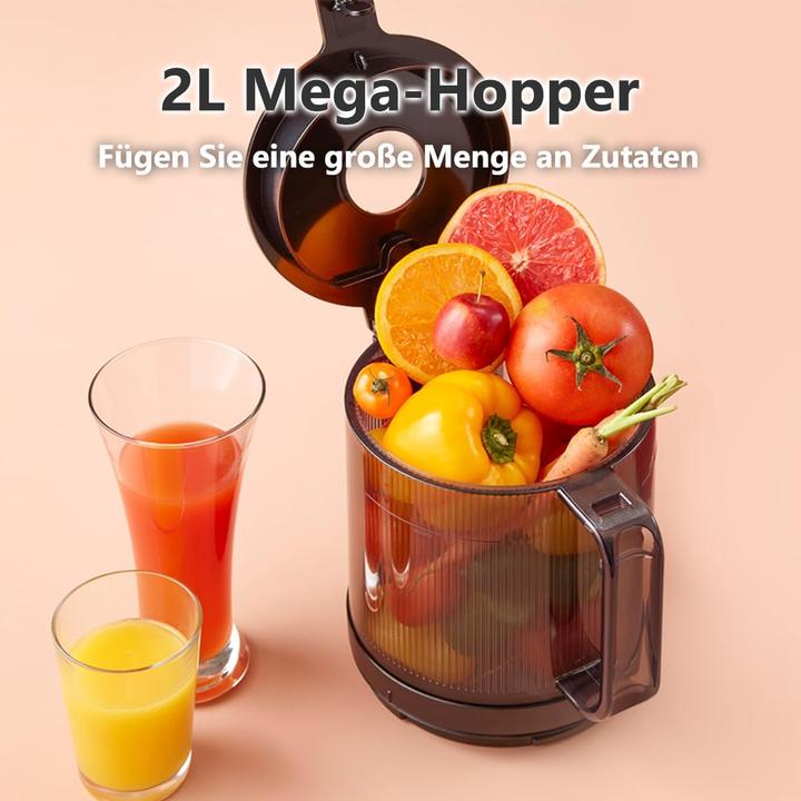 Actual product image Hurom H201 Slow Juicer