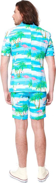 Image du produit OppoSuits Flaminguy (58)