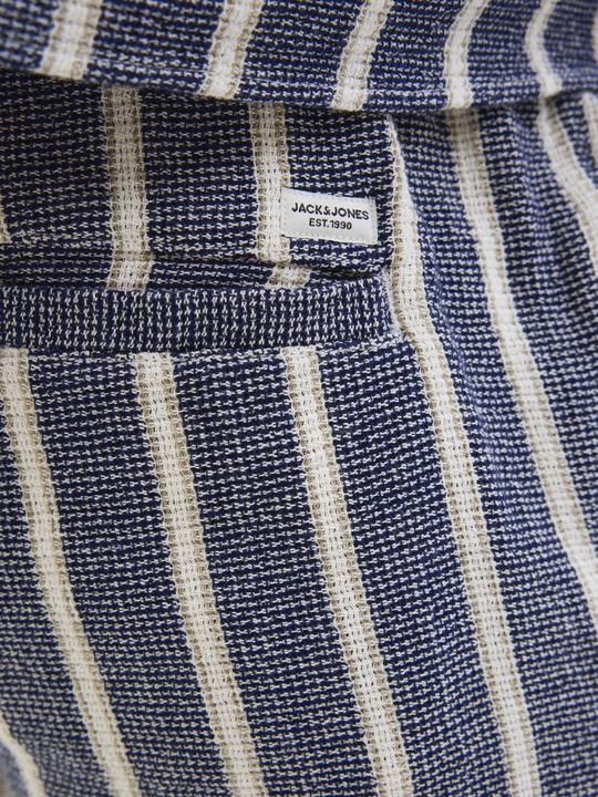 Produktbild Jack & Jones Jpstjaiden Coba Stripe Jog Short Sn Pls (42)