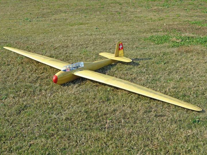 Immagine prodotto Pichler Modellino di aliante Crane 3000 mmmm (Aliante)