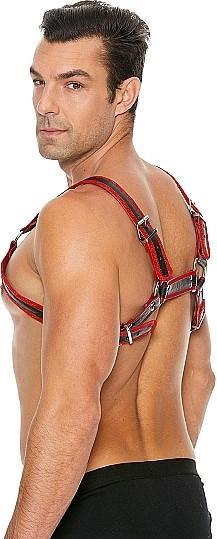 Actual product image Ouch! Buckle Bulldog Harness - S/M (S/M)