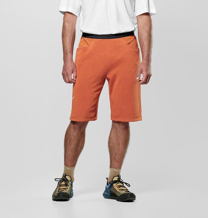 Image du produit Salewa Agner Hemp Shorts M (XL)