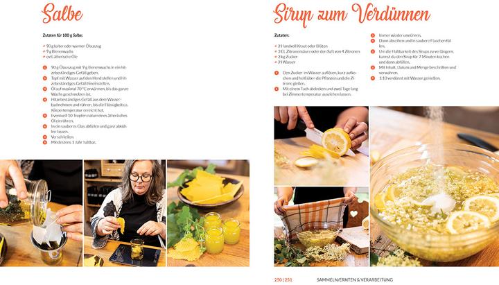 Image du produit Heilkräuter aus den Alpen (Allemand, Michaela Thöni-Kohler, 2025)