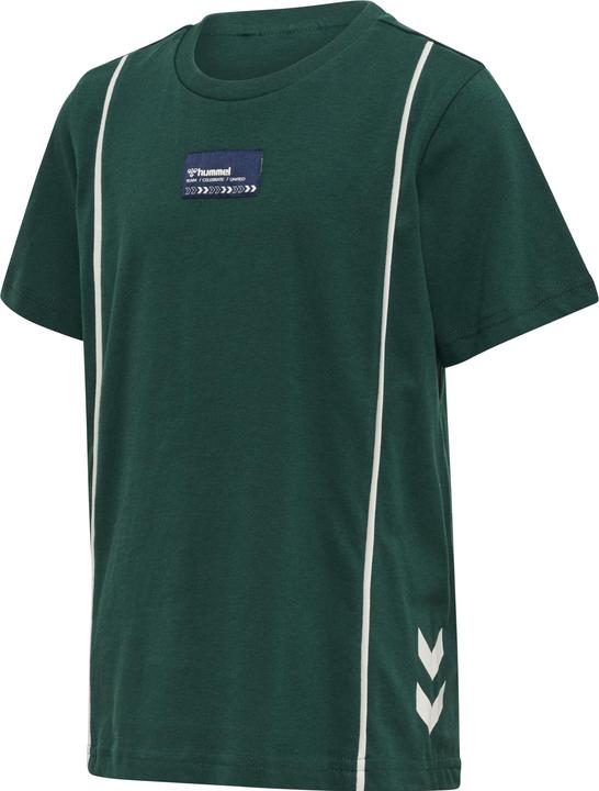 hummel Ditmer T-Shirt S/S (110)