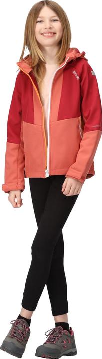 Produktbild Regatta Haydenbury Softshelljacke (116)