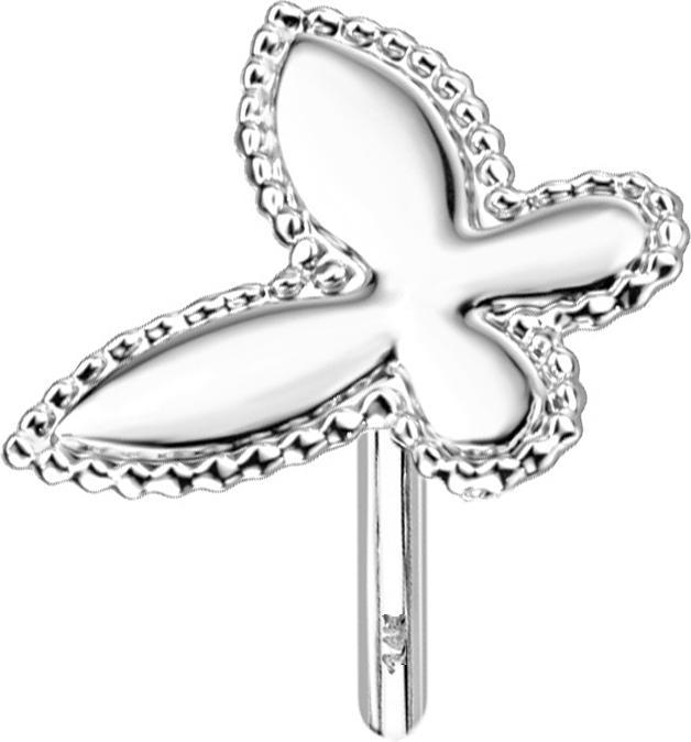 Star Piercing Threadless 14k weissgold Schmetterling mit Kugelrand (ohne Messing, 14k Gold)