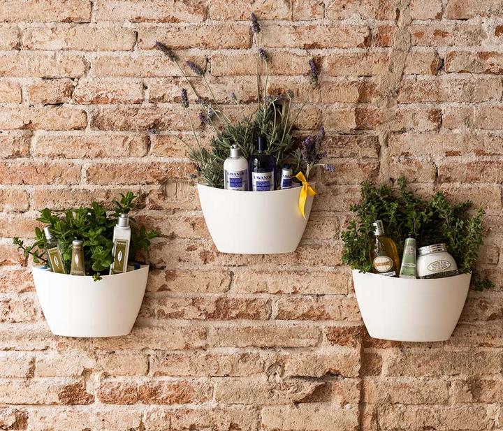 Produktbild CitySens 3er-Pack Wand Pflanzengefäss (9 cm)