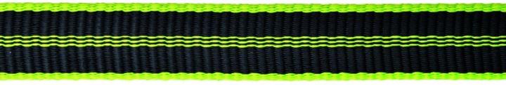 Actual product image Edelrid Flat tape Supertape 19 mm 100m / whole roll (100 m)