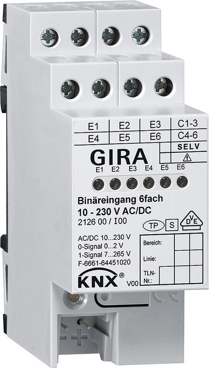 Actual product image Gira Binary input