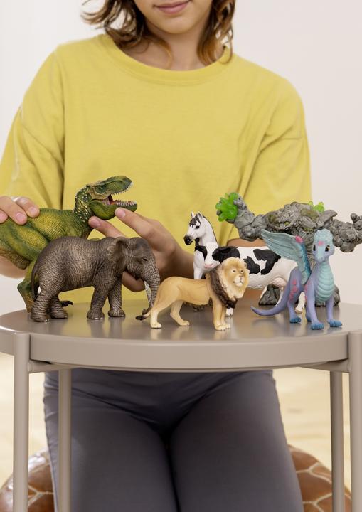 Actual product image Schleich Flower dragon and child