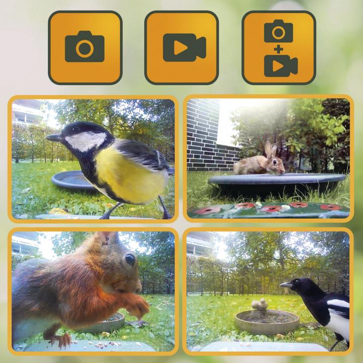 Actual product image Easypix BirdyCam