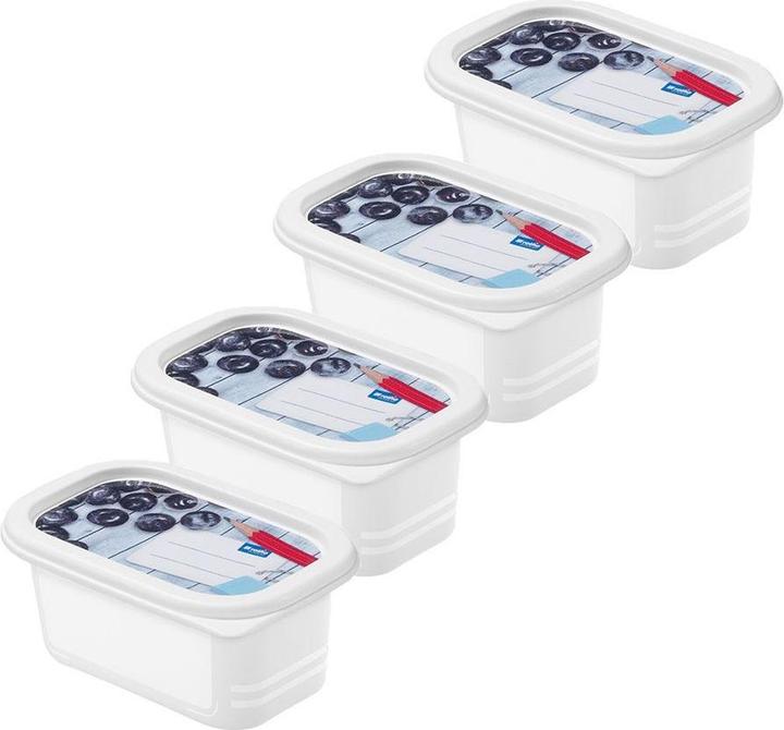 Produktbild Rotho Gefrierdosen Domino (0.20 l)