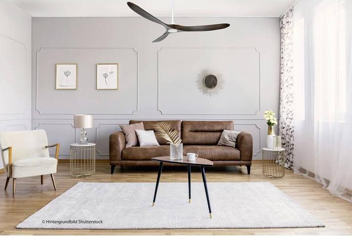 Actual product image CasaFan Eco Genuino (22 dB)