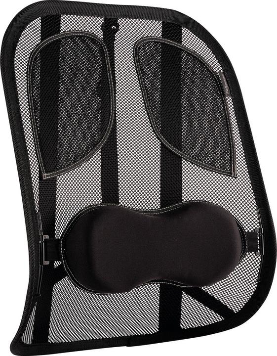 Produktbild Fellowes Professional Rückenstütze