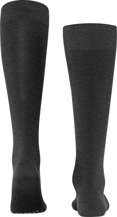 Actual product image Falke Energizing Wool Men Knee-high Socks (41 - 42)