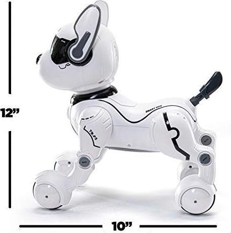 Produktbild Top Race Roboterhund