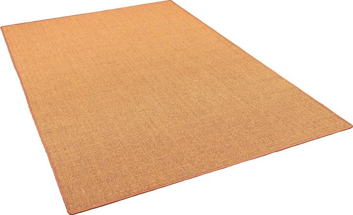 Image du produit Snapstyle Tapis en sisal naturel Classique - 9 coloris en 17 tailles (100 x 200 cm)
