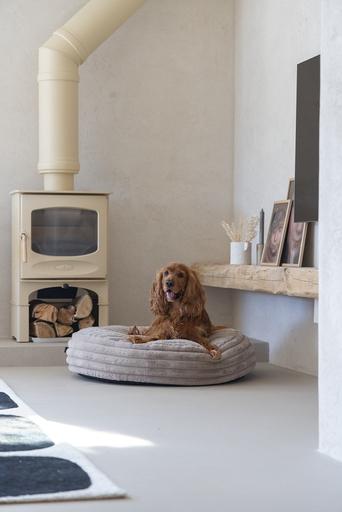 Actual product image Designed by Lotte Reza reclining cushion (Dog)