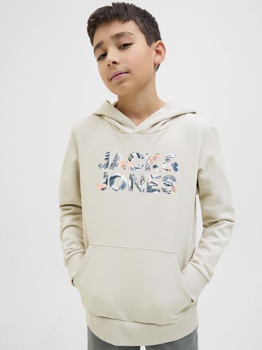 Produktbild Jack & Jones Jjebryan Corp Logo Sweat Hood Noos Jnr (176)