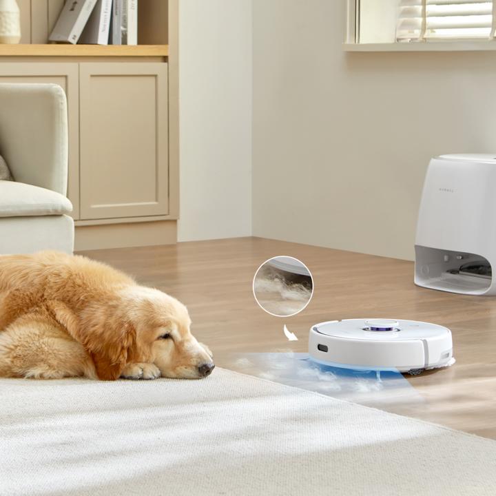 Actual product image Narwal Freo (Vacuum mopping robot)