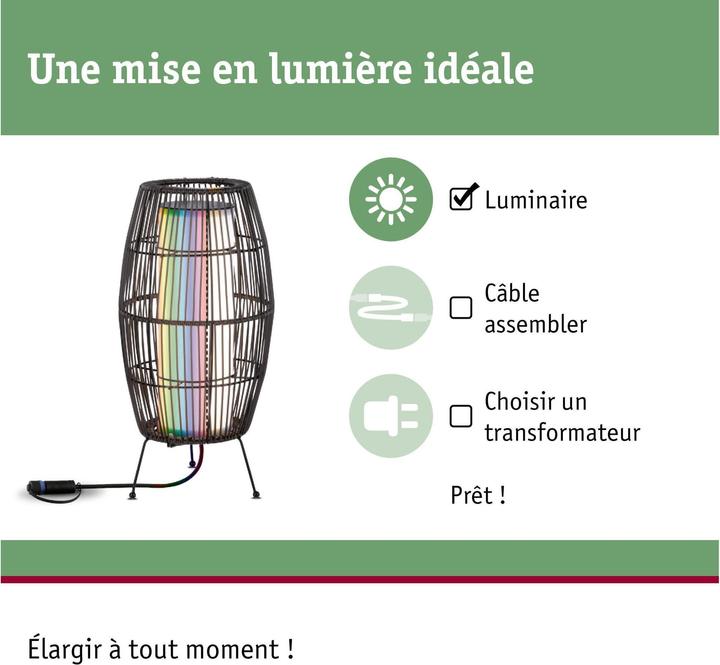 Actual product image Paulmann Outdoor Plug & Shine Basket (260 lm, IP44)