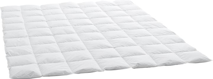 Actual product image Billerbeck Edition Thea Clima (500 g, 160 x 210 cm)