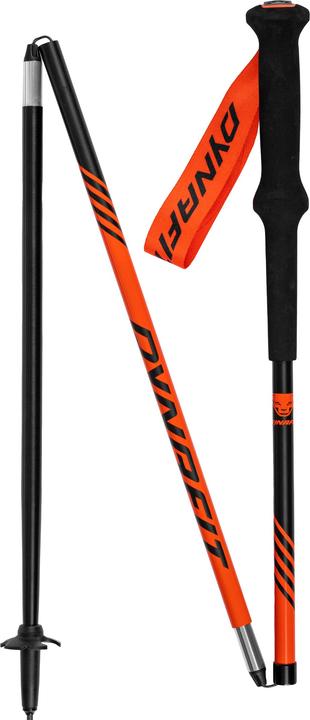 Produktbild Dynafit Alpine Stock (125 cm)