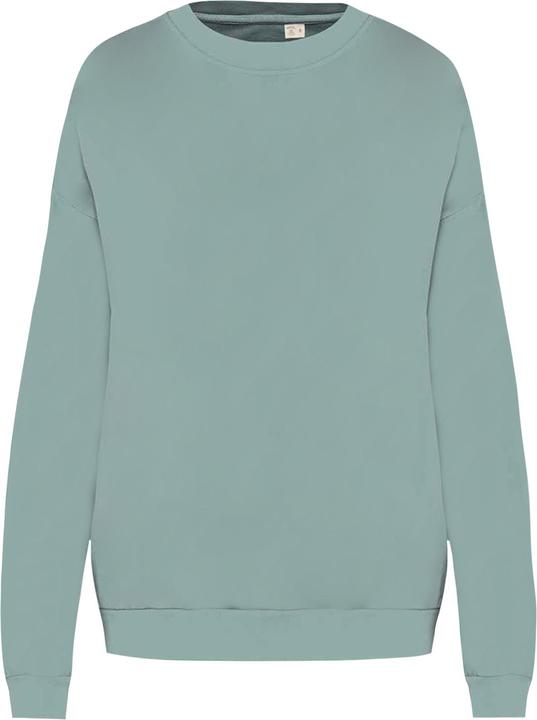 Native Spirit Sweatshirt (M)