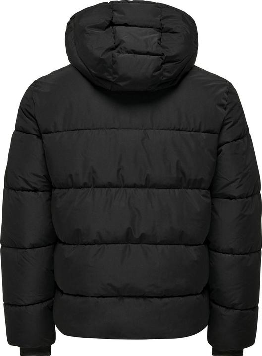 Image du produit Only & Sons ONSMELVIN HOOD PUFFER JACKET OTW VD Doudoune (L)