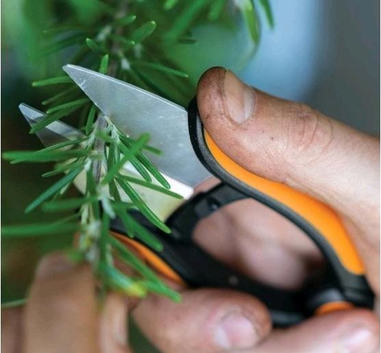 Actual product image Fiskars Herb shears