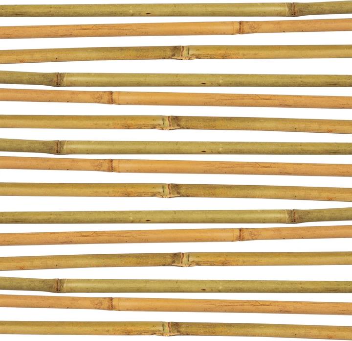 Actual product image BigDean Bambus-Pflanzenstab Rankhilfe (50 Stück) (105 cm, 1 cm)