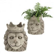 Cepewa Cache-pot lion avec couronne, grand, environ 21 cm (21 cm)