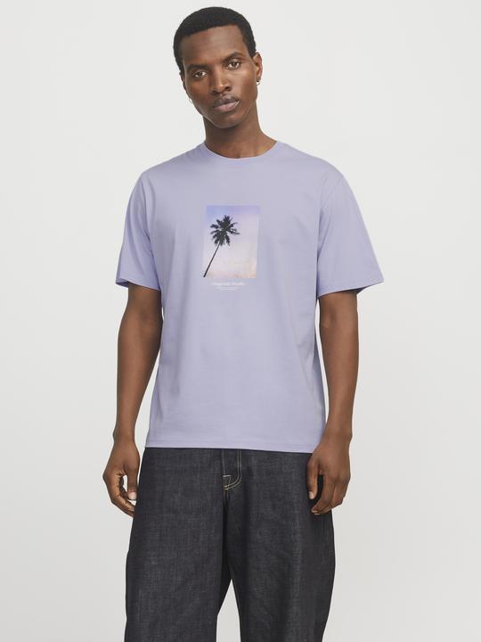 Produktbild Jack & Jones Jorvesterbro Picture Tee Ss Crew Neck Sn (XL)