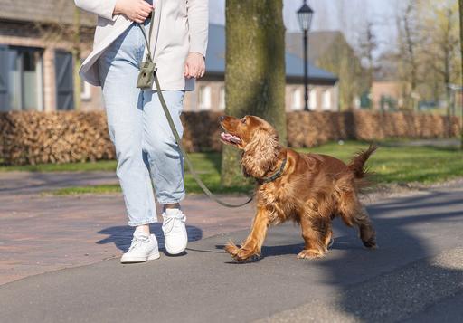 Actual product image Designed by Lotte Dog collar Velura (50, Dog, Walks, Jogging)